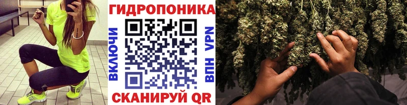 площадка наркотические препараты  Михайловка  Бошки марихуана Amnesia  где купить наркоту 